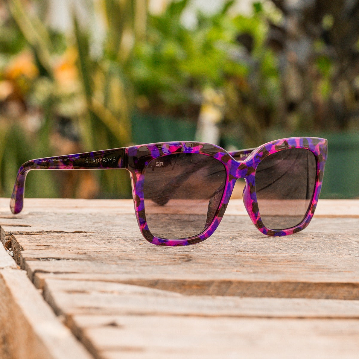 Azalea - Galaxy Tortoise Polarized - Image 6