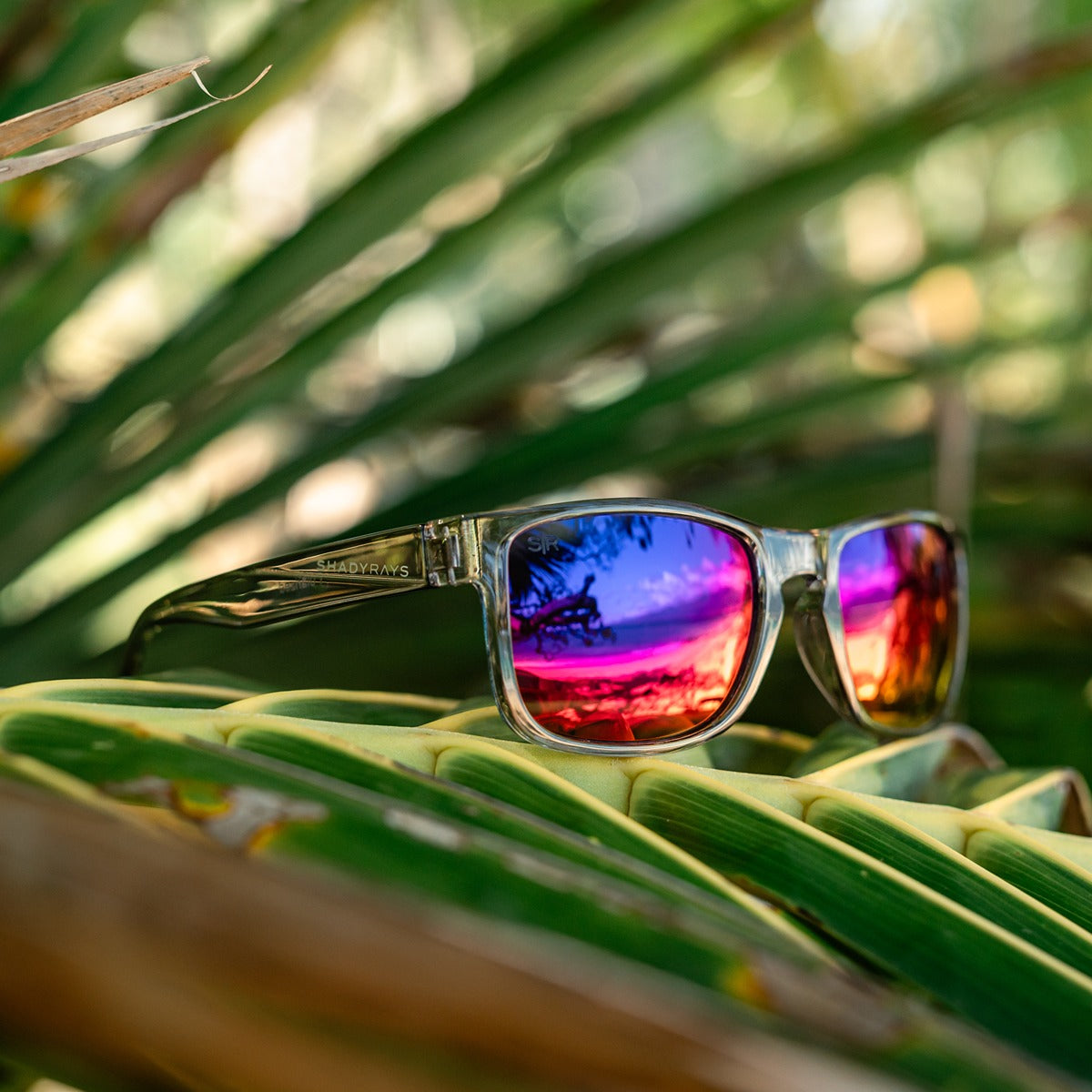 Titan - Mirage Smoke Polarized - Image 5